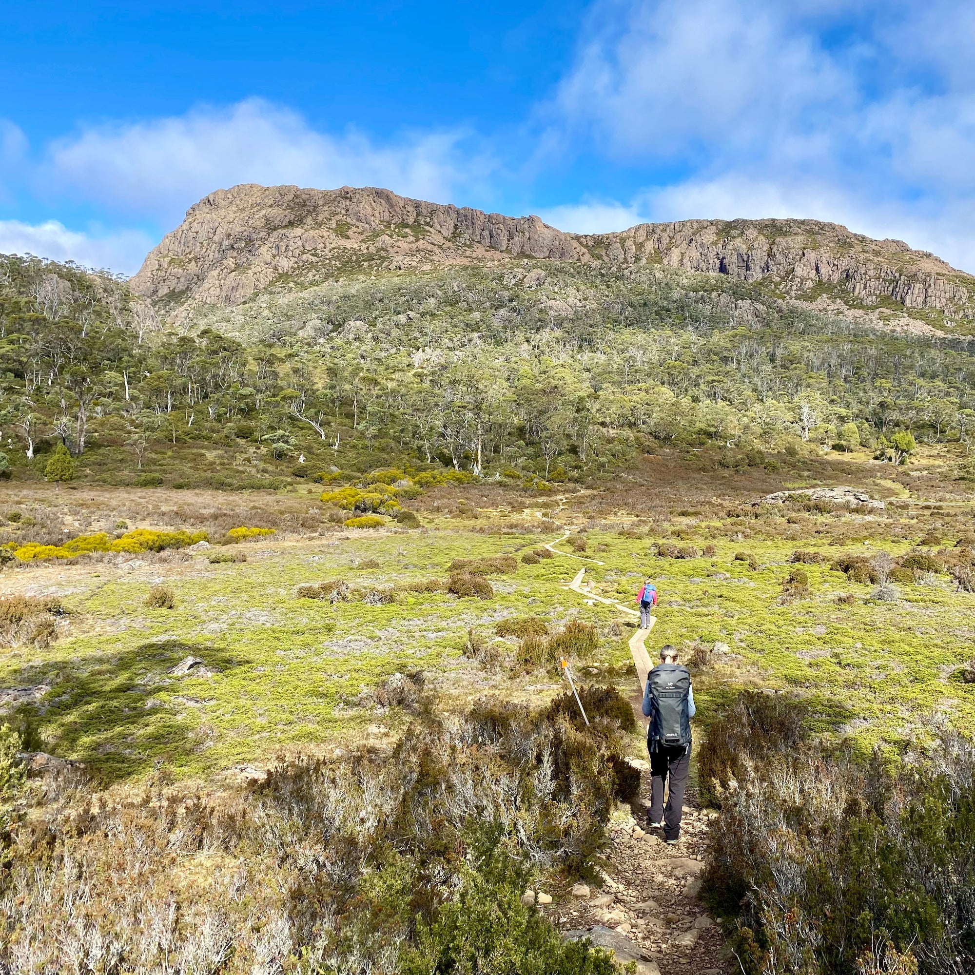 Wild Dog Campsite Walls of Jerusalem hiking in Tasmania