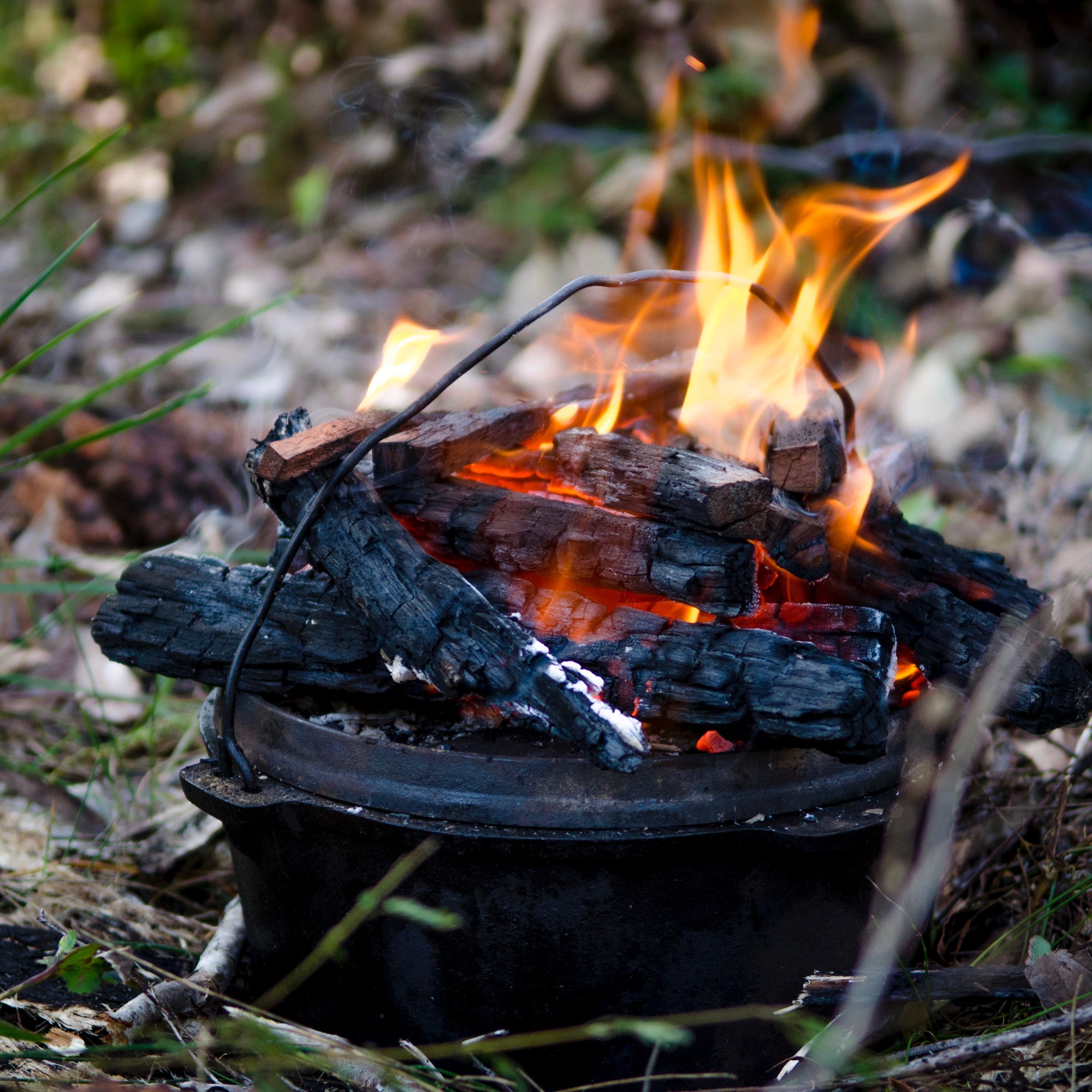 Witches Cauldron