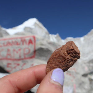 Person holding campers pantry chocolate freeze dried ice cream with Mount Everest in the background
