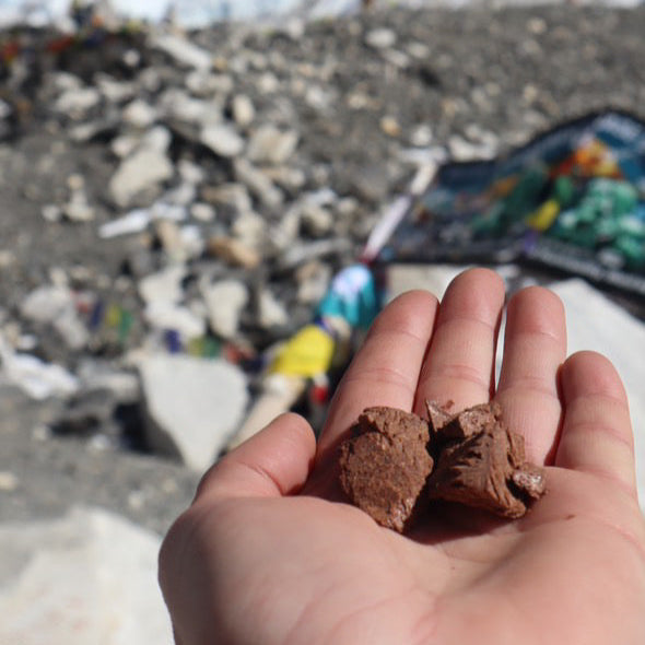 Hand holding capers pantry freeze dried chocolate ice cream against a mountainous background with visible prayer flags