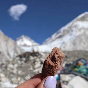 Person holding campers pantry choc freeze dried ice cream snow-capped mountains in the background