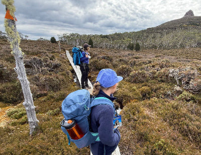 Hikers on a trail with a mountain in the background Overland Track Tasmania